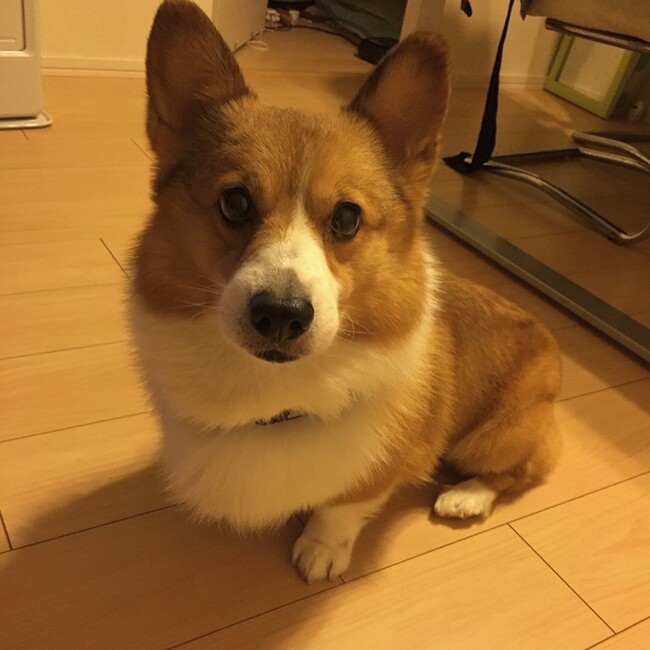 masa11aのカバー写真