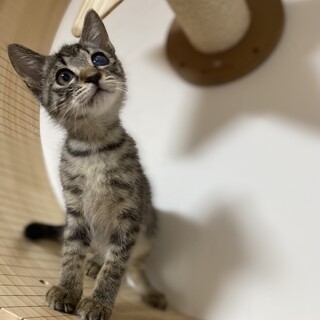 くりくりの目がかわいい男の子