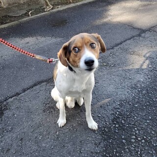 ありがとうございました！