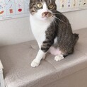 あまえんぼうで人が大好きなみどりさん