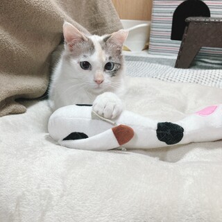 ブルーの瞳が綺麗な女の子