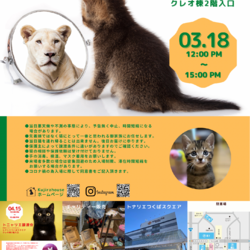 トニャリエ譲渡会