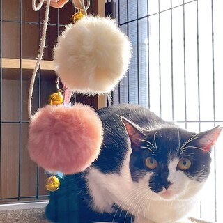 瞳がキラキラ綺麗なひとみちゃん