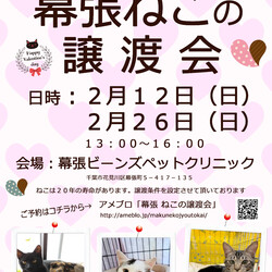 千葉市「 幕張 ねこの譲渡会」動物病院で開催です