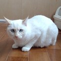 お問合せがあり一旦停止中です