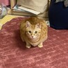 なかりあ