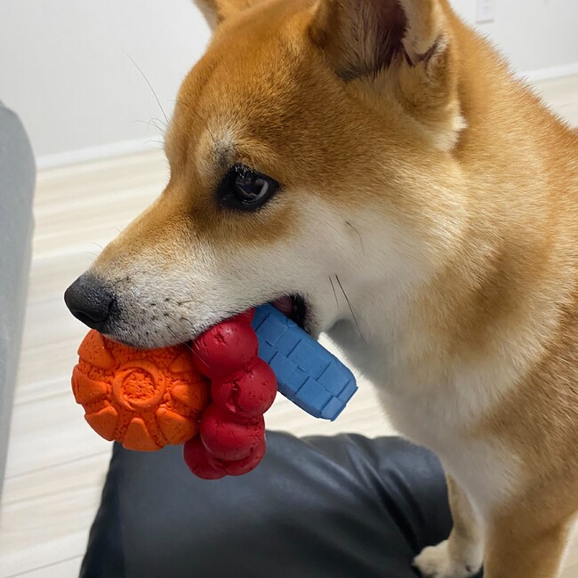 ちょちょ～のカバー写真