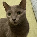 ジゼルは心疾患を抱えていますがハイパーガールです