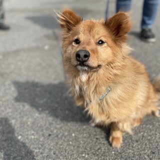 甘えん坊の構ってちゃん ルーガくん