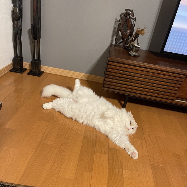 クロ2023のカバー写真