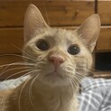 細マッチョ⁉︎つぶらな瞳のノッポ❤️
