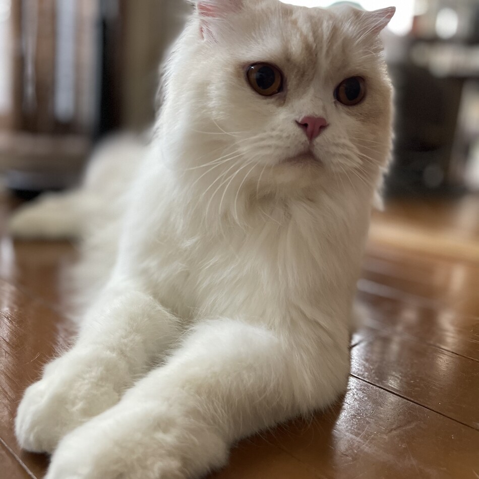 ひろしのカバー写真