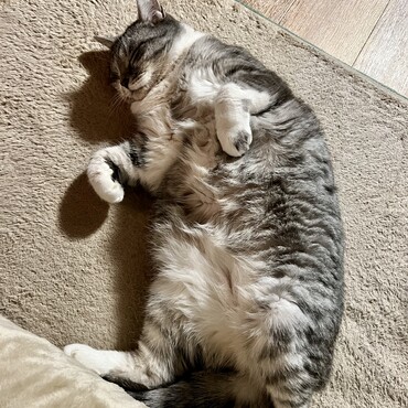 リラックス風太