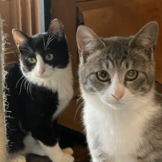 仲良し兄妹⭐︎一緒にお願いします