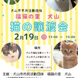 猫の譲渡会 @犬山市福祉活動センター