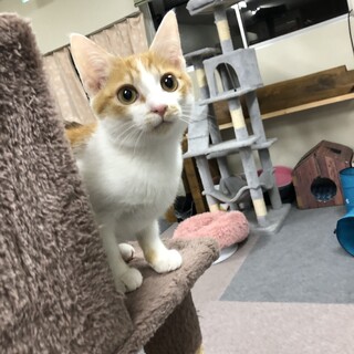 マサルはベタベタの甘えんぼさんです！
