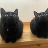 ずんこ87