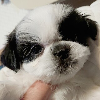 幸せに成りました。ありがとうございます