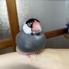 いちごさんど