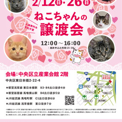 ねこざんまい譲渡会@東日本橋
