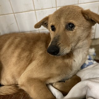 拘留期限があります、時間がありません。