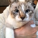 寂しがりやで甘えん坊！寝太郎くん