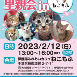 ふくねこや。。neko部　保護ねこ里親会