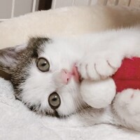 詠斗