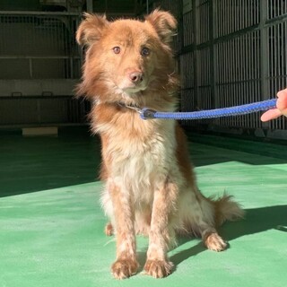 ありがとうございました！