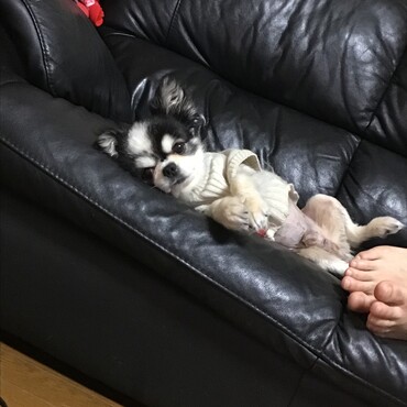 の写真