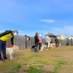 総社市ＡＷＡしつけ教室　＜雨天決行＞ サムネイル3