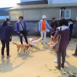 AWA総社犬ねこ譲渡会