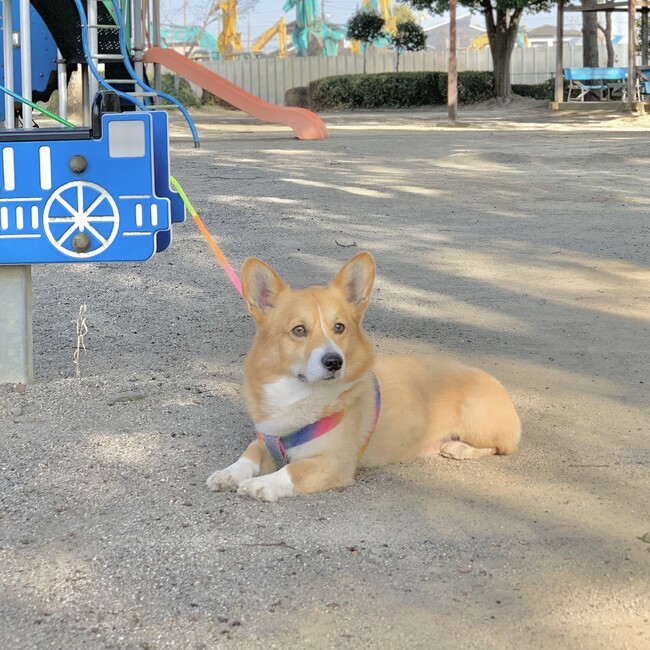 Jilliancregisのカバー写真