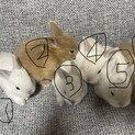 生後1か月の6匹うさぎちゃん
