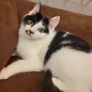 急募