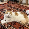 大きくなったなぁ
