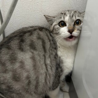 〝けいくん〟です♪