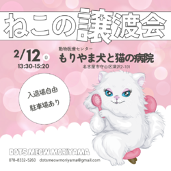 2/12(日)猫の譲渡会@名古屋市守山区