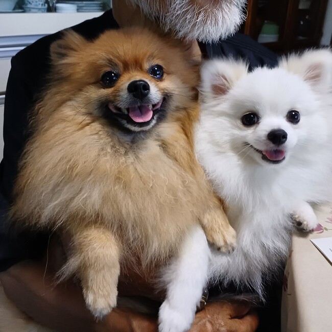 さとマリのカバー写真