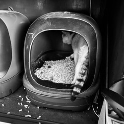 「ユズコさん、プライドとリアル」サムネイル2