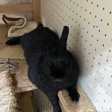 の写真