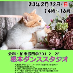 【柏市】2/12(日)根本ダンススタジオ保護猫譲渡会 サムネイル1