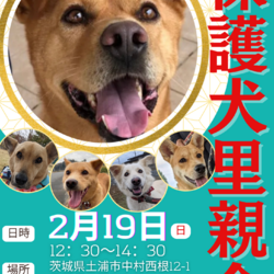 CAPIN里親会inつくばCASA サムネイル1