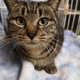 とっても優しいラックちゃん♡奇跡の救出！