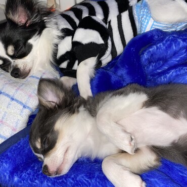 そらちゃんとくうちゃん