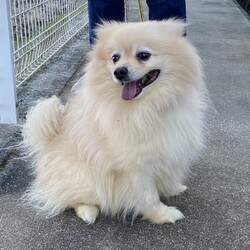 「可愛がって頂ける方歓迎」サムネイル2