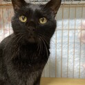 人が大好き甘えん坊の廉❗️