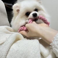 ミルク