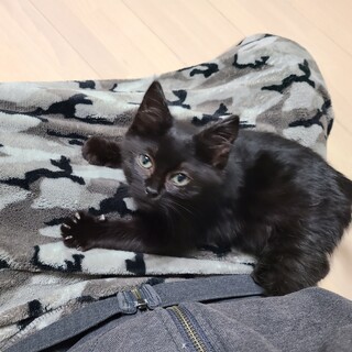 おっとりで甘えん坊な男の子