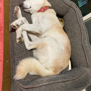 可愛い優しいウータロー♪